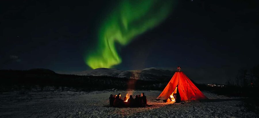Abisko: Northern Lights Hike with Husky Puppies - Why the puppies change the Northern Lights experience