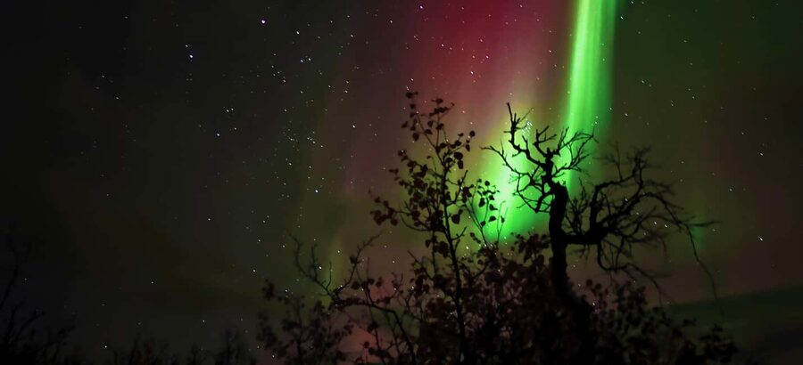 Abisko: Northern Lights Hike with Husky Puppies - Is $142 a fair price?