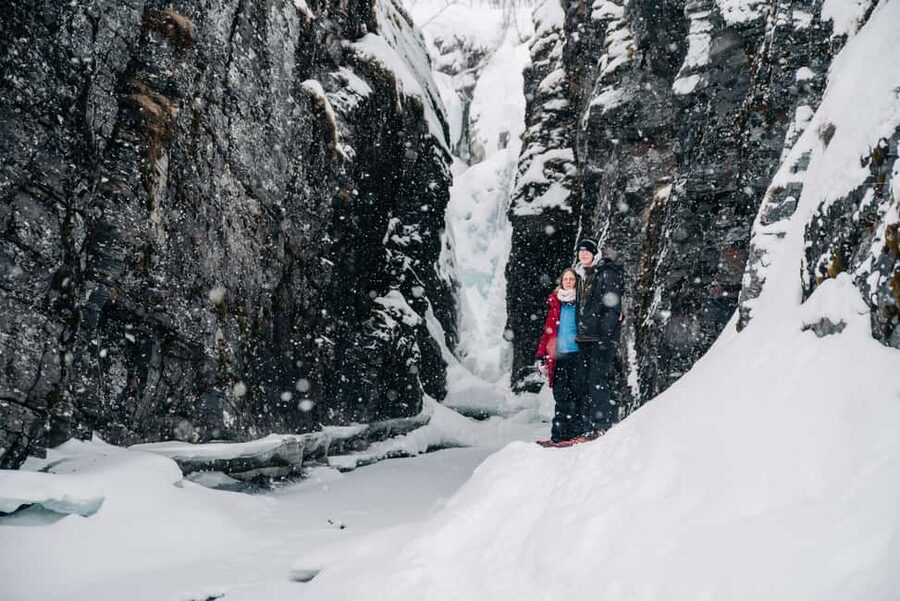 Abisko: Photo Hike with Professional Photographer - Key points before you book