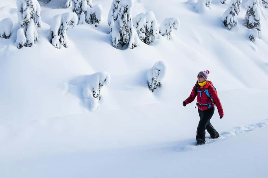 Abisko: Photo Hike with Professional Photographer - Meeting your guide near Abisko’s hotels