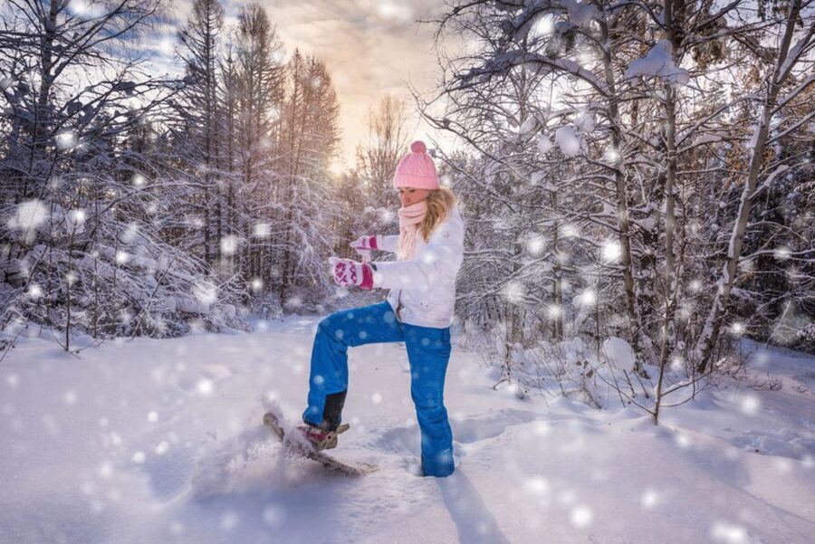 Abisko: Wilderness Snowshoe Hike - Starting at Abisko Östra
