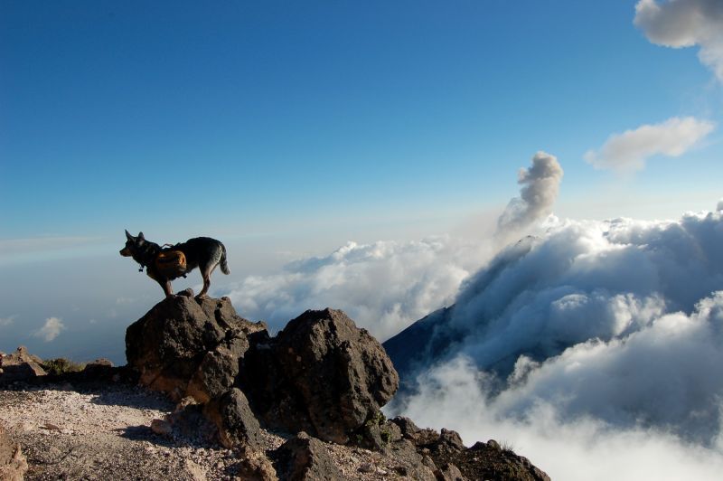 Acatenango Volcano 2-Day Hike - The pre-dawn push to Acatenango’s summit