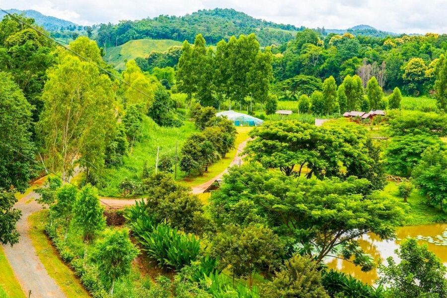 Akha & Lahu village trekking 1 day - A full day in the Akha and Lahu hills