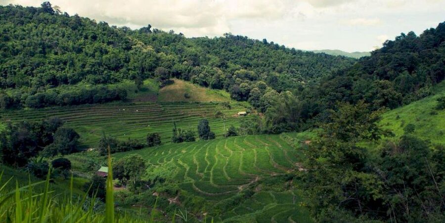 Akha & Lahu village trekking 1 day - Bamboo lunch in the forest