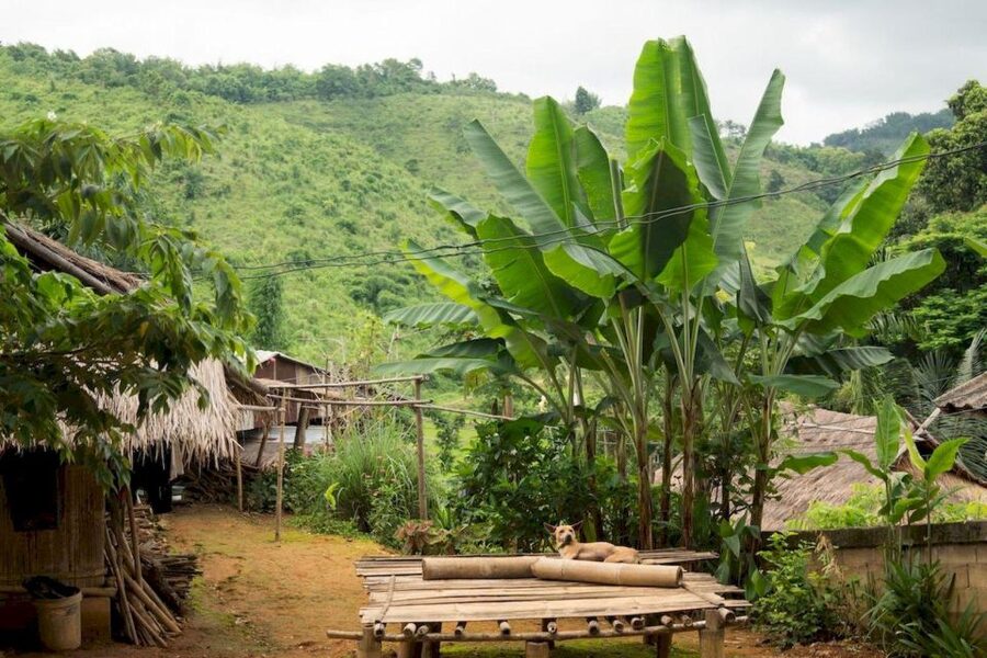 Akha & Lahu village trekking 1 day - Who will enjoy this trek most