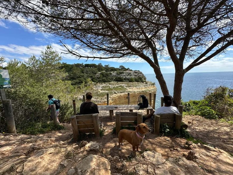 Algarve: 7 Seven Hanging Valley Hike Tour- Photos & Transfer - Secret viewpoints and the first coves