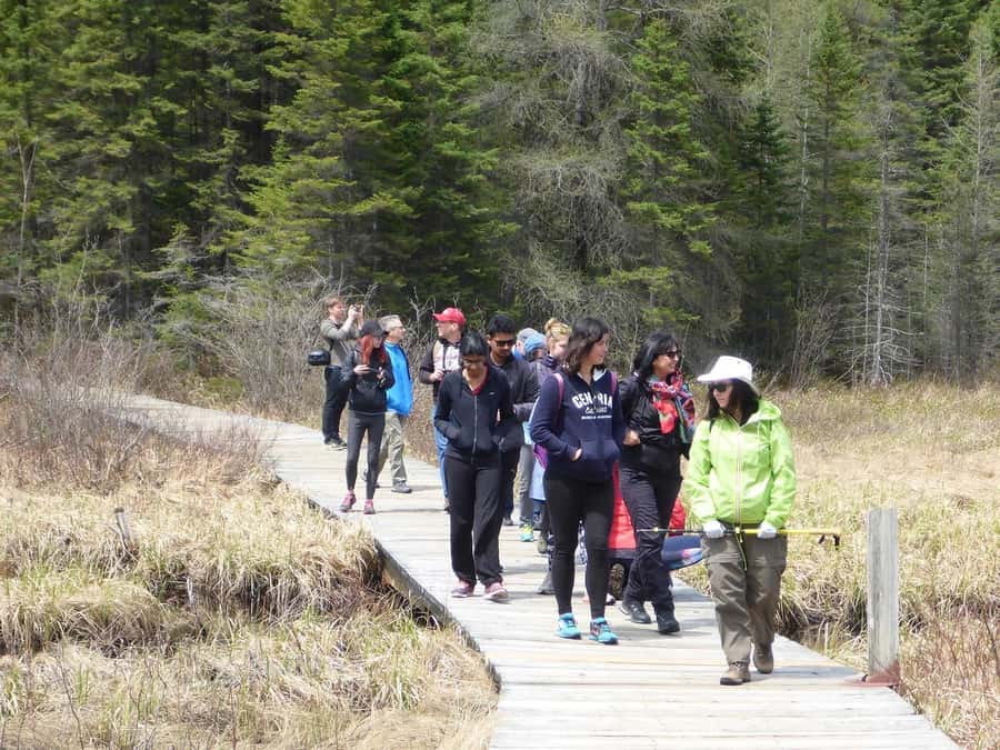 Algonquin Park Hiking: Adventure Tour from Toronto - What your guide adds to the day