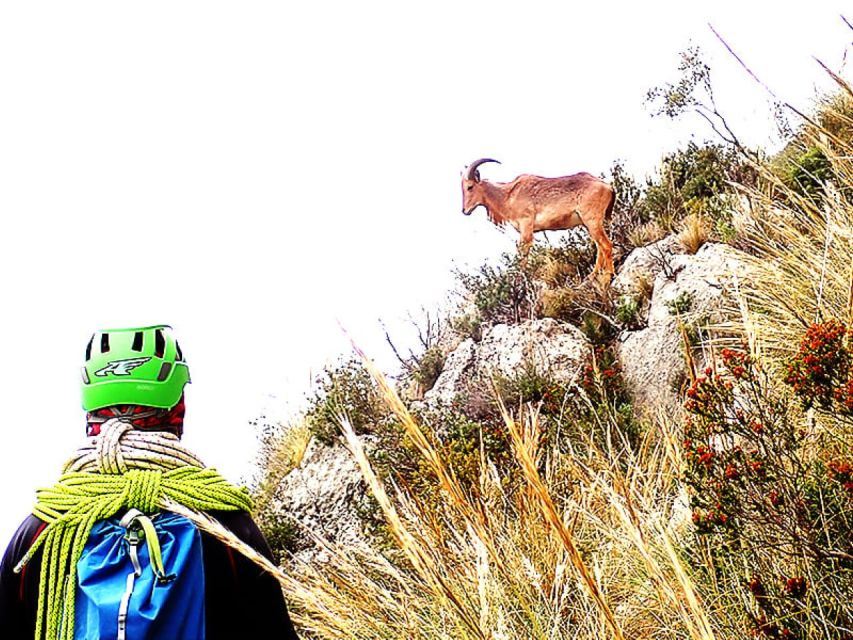 Alicante: Via Ferrata del Ponoig Guided Trek and Climb - The views over Guadalest and the Mediterranean