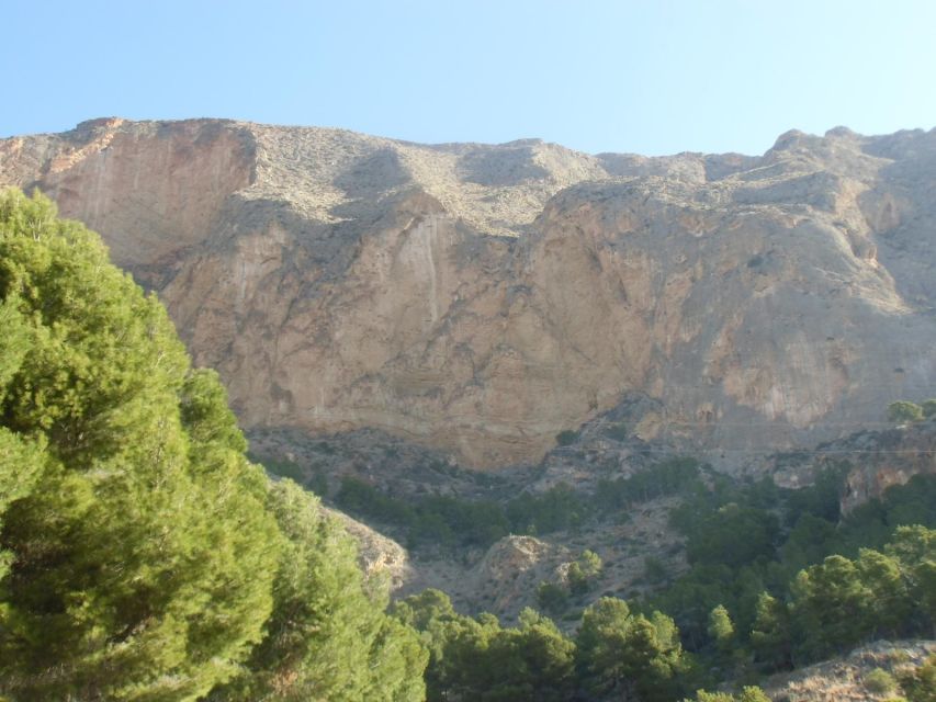 Alicante: Via Ferrata Hike in Redovan - Four bridges turn the route into a real challenge