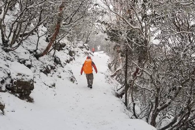 Annapurna base camp trek 5 Days - Day 4: The main goal, Annapurna Base Camp
