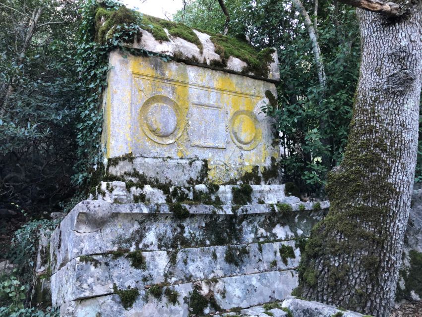 Antalya: Hiking in Termessos Ancient City - What Onder adds to the morning