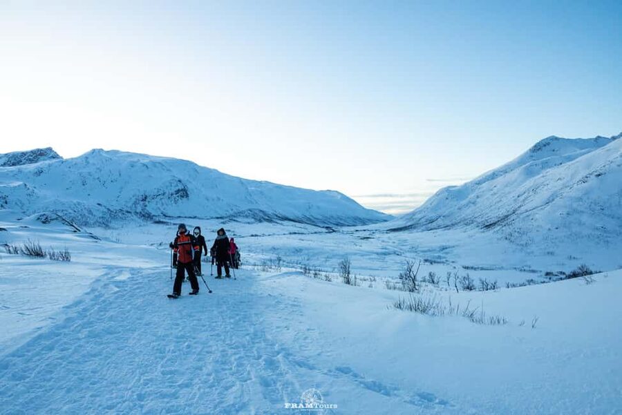 Arctic hike on Kvaløya Island with drinks and snacks - Key points at a glance
