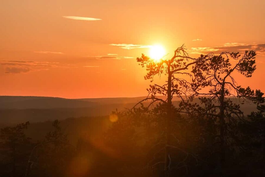 Arctic Wilderness Hike from Rovaniemi (Day & Evening) - Into the Arctic forest from Rovaniemi