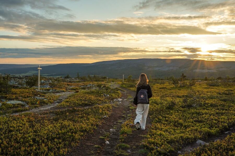 Arctic Wilderness Hike from Rovaniemi (Day & Evening) - Fire skills, sausages, and hot blueberry juice