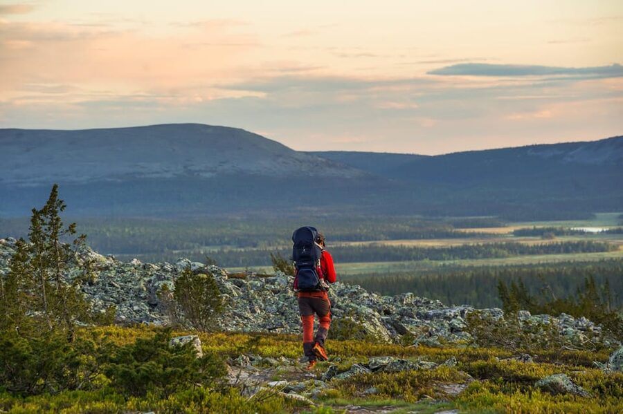 Arctic Wilderness Hike from Rovaniemi (Day & Evening) - Is the $117 price good value?