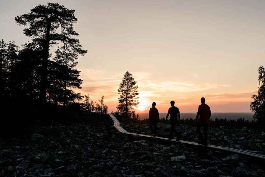Arctic Wilderness Hike from Rovaniemi (Day & Evening) - What the guide adds to a simple walk