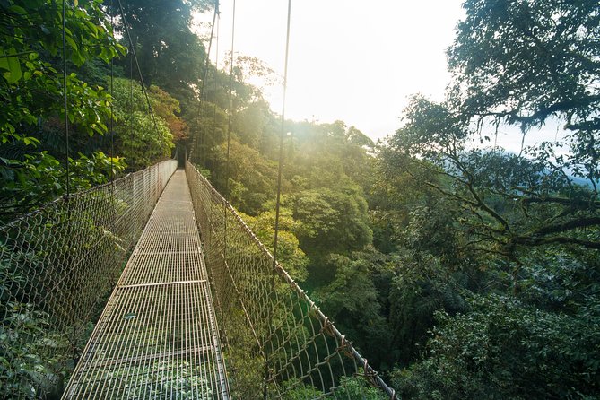 Arenal Hanging Bridges Hiking Tour - Why a Guide Makes Such a Difference