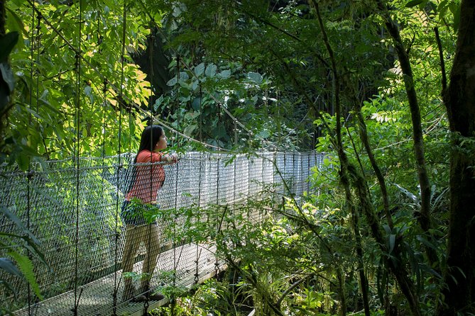 Arenal Hanging Bridges Hiking Tour - Wildlife: Wonderful When It Happens, Quiet When It Does Not