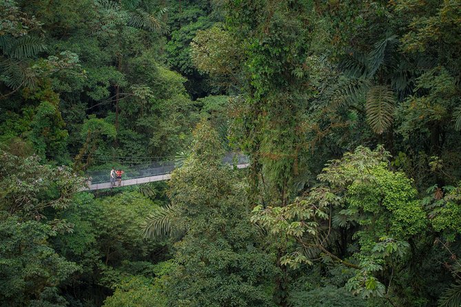 Arenal Hanging Bridges Hiking Tour - What the Four Hours Actually Include