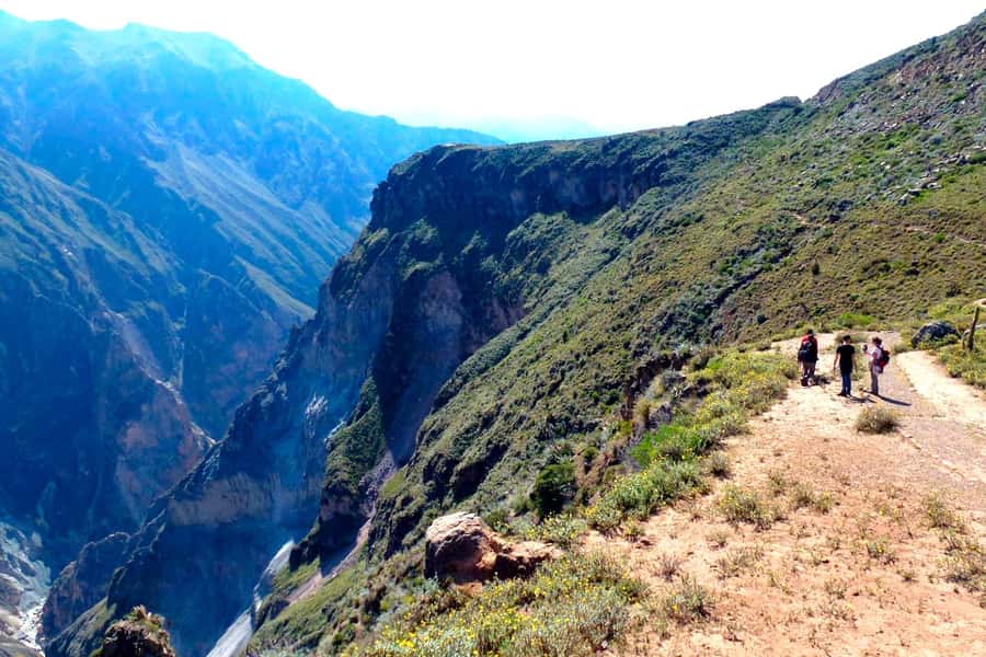 Arequipa: 2-day Colca Canyon Trekking, Ending in Puno - Cruz del Cóndor and the flight of the condors
