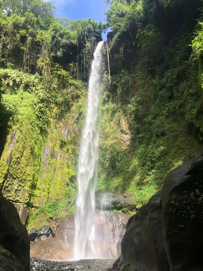 Arusha: Napuru Waterfalls Guided Hike - What the guides add to the experience