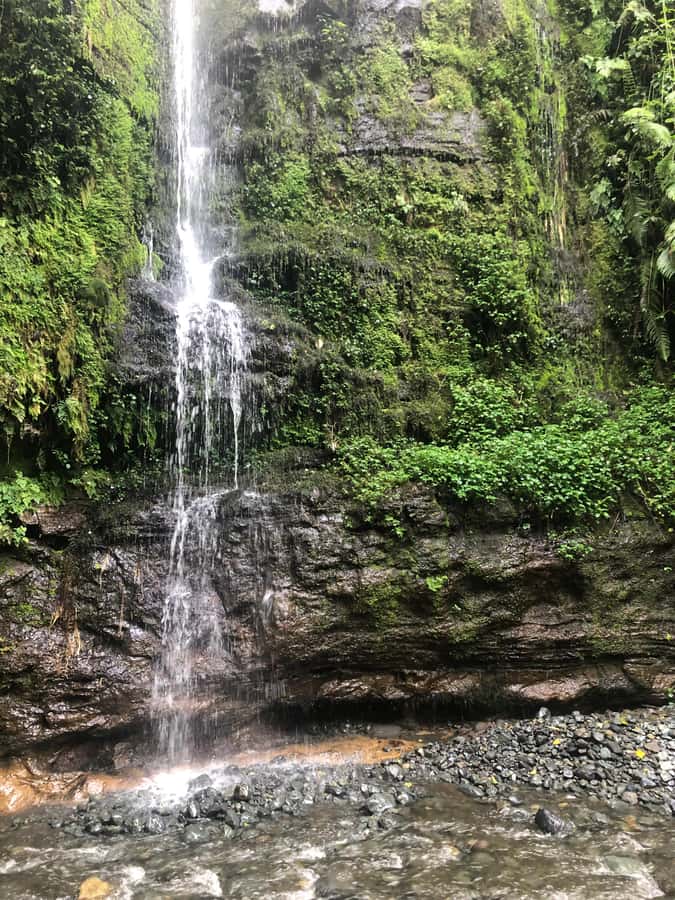 Arusha: Napuru Waterfalls Guided Hike - Price, entrance fee, and what you receive