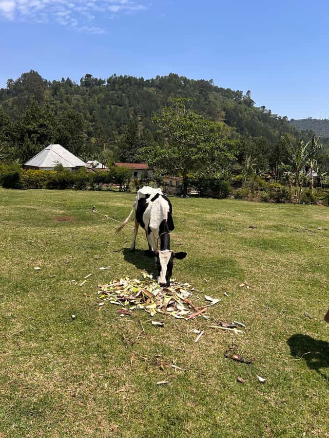 Arusha: Napuru Waterfalls Guided Hike - From your hotel to Arusha’s village edge