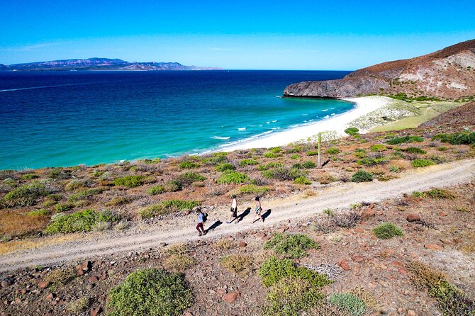 Balandra & Tecolote: hike, kayak and snorkel in paradise - Ceviche, shade, and a proper finish at Tecolote