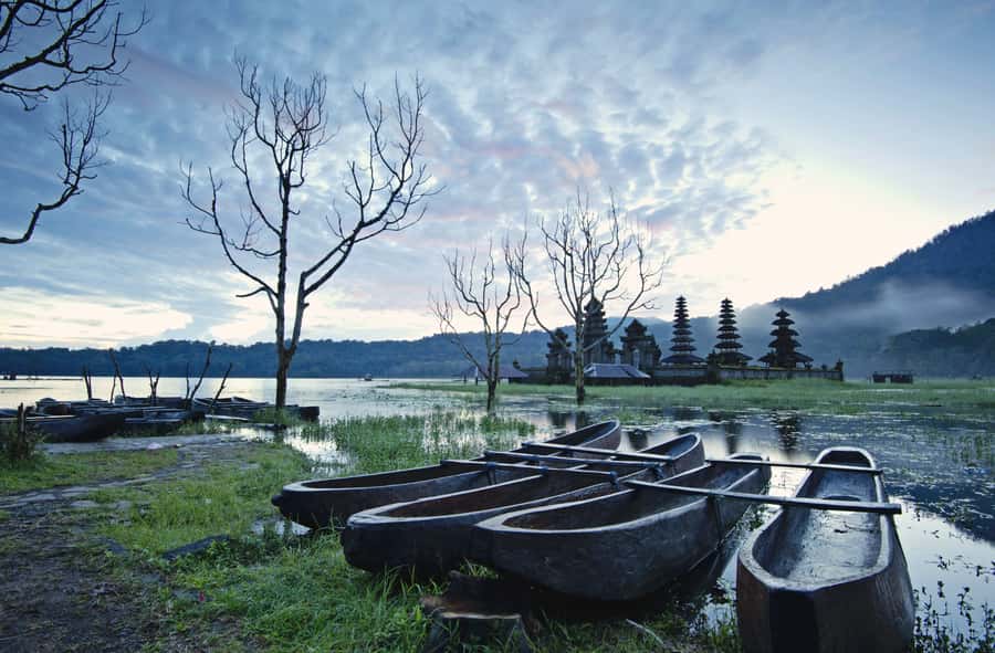 Bali: Munduk Waterfalls Trek, Twin Lakes and Temple Tour - The Munduk rainforest walk and what your guide adds