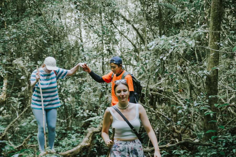 Bali: Munduk Waterfalls Trek, Twin Lakes and Temple Tour - Twin Lakes viewpoint: a quick scene-setter with a big payoff
