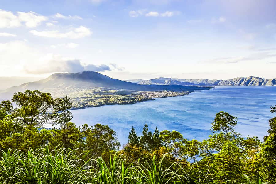 Bali: Sunrise Mount Batur Guided Hike with Breakfast - Coffee, Luwak tasting, and the final stop