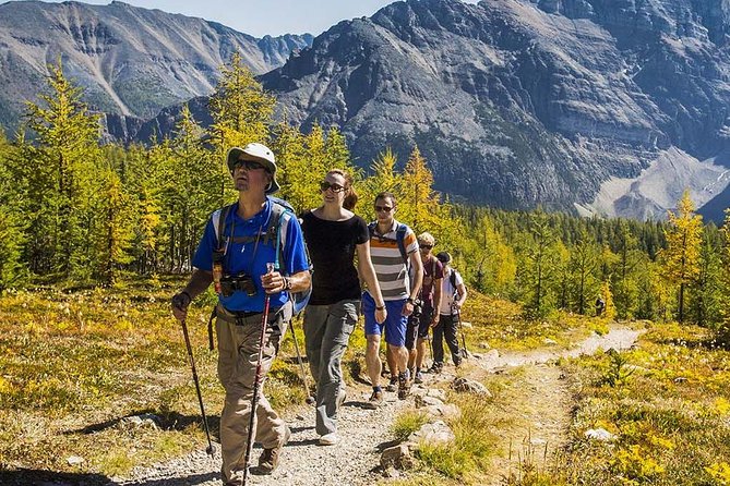 Banff National Park Guided Hike with Lunch - Four hikes, four very different Banff days