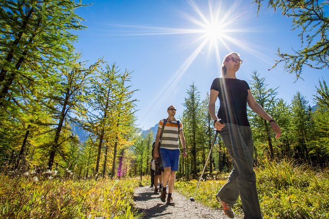 Banff National Park Guided Hike with Lunch - Lunch, poles, and the small details that help