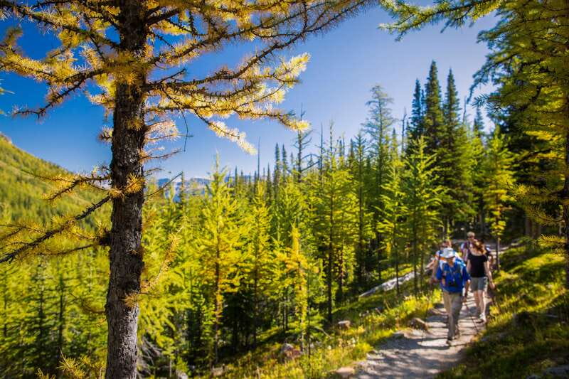 Banff National Park: Guided Signature Hikes with Lunch - Four trails, four very different Banff days