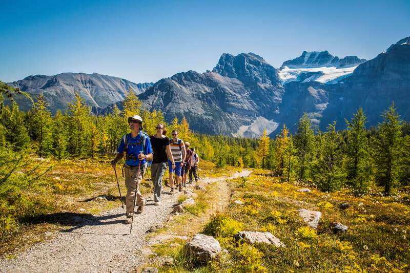 Banff National Park: Guided Signature Hikes with Lunch - What the morning feels like in the minibus