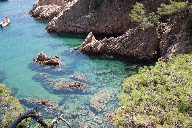 Barcelona: Costa Brava Easy Hike, Snorkel, Cliff-Jump & Meal - Starting at a quieter golden-sand cove