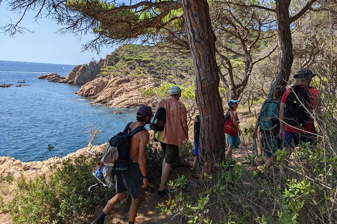 Barcelona: Costa Brava Easy Hike, Snorkel, Cliff-Jump & Meal - Optional cliff jumps, with sensible limits