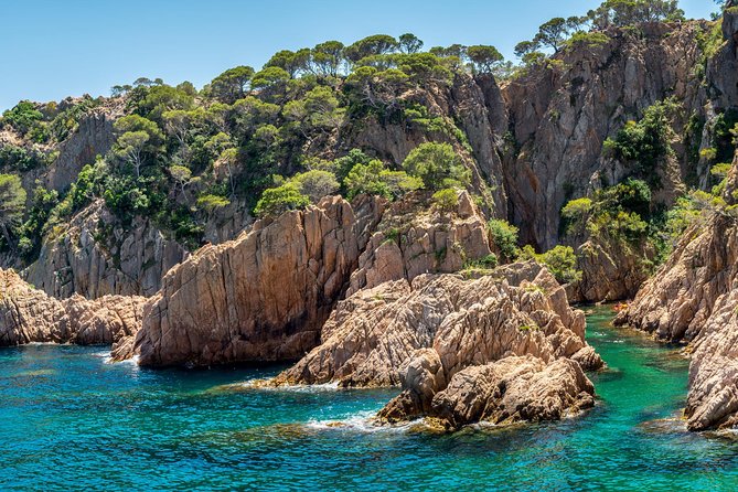 Barcelona: Costa Brava Easy Hike, Snorkel, Cliff-Jump & Meal - Lunch brings the day back to the table