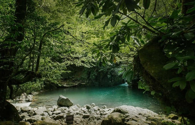 Batumi to Mtirala National park - Half day hiking group tour - Key points to know before booking