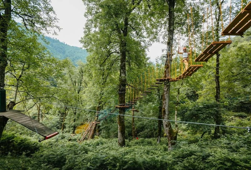 Batumi to Mtirala National park - Half day hiking group tour - What the four-hour schedule really gives you