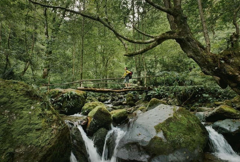 Batumi to Mtirala National park - Half day hiking group tour - The handmade cable car crossing