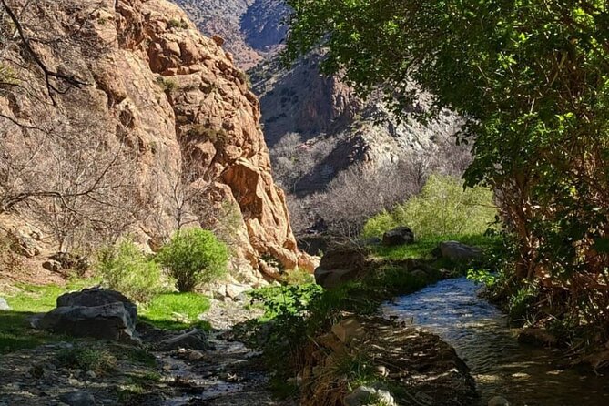 Berber villages : Atlas Mountains Day Hike from Marrakech - Who should book this Atlas Mountains outing?