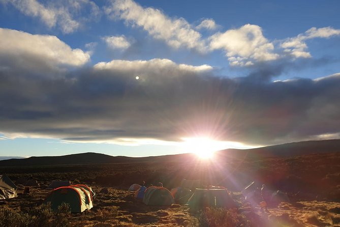 Best Kilimanjaro Adventure 7 days Machame route Trekking - Day 6: Barafu to Uhuru summit and Mweka Camp