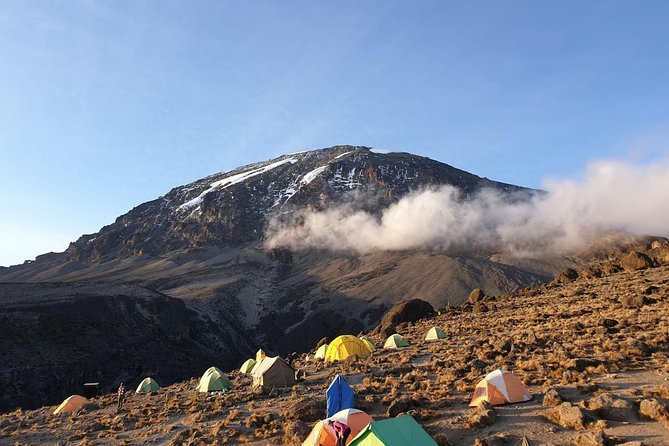 Best Kilimanjaro Adventure 7 days Machame route Trekking - Day 2: Machame Camp to Shira Camp
