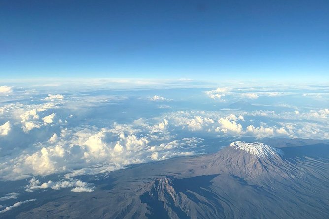 Best Kilimanjaro hiking day trip tour with Kilinge Adventures - Guides who shape the day