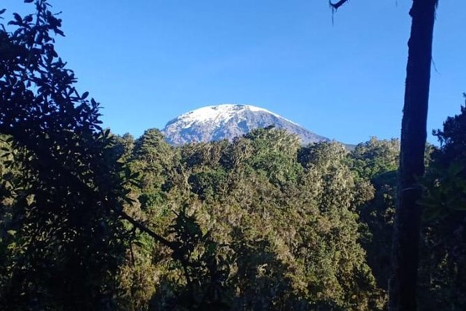 Best Kilimanjaro hiking day trip tour with Kilinge Adventures - Marangu Gate to the rainforest trail