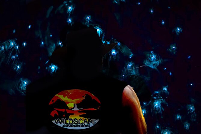 Blue Mountains Hiking Glow worms Cave Wildlife Spotlighting Night Adventure - Why this night hike feels different from a daytime Blue Mountains visit