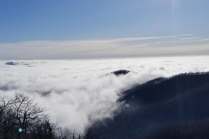 Blue Ridge Parkway Waterfalls Hiking Tour from Asheville - Is $112 a fair price?