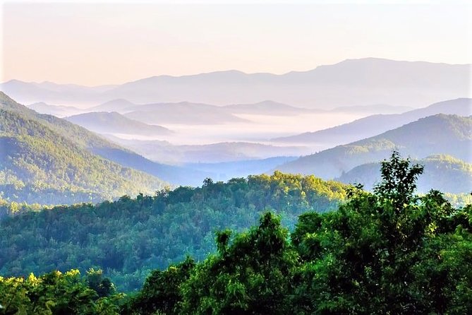 Blue Ridge Parkway Waterfalls Hiking Tour from Asheville - Pisgah Forest and the approach to the falls
