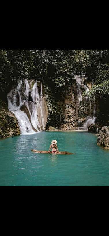 Bohol: Hidden Waterfall Hopping and Jungle Trek Adventure - Rice fields, carabao, and the first jungle paths